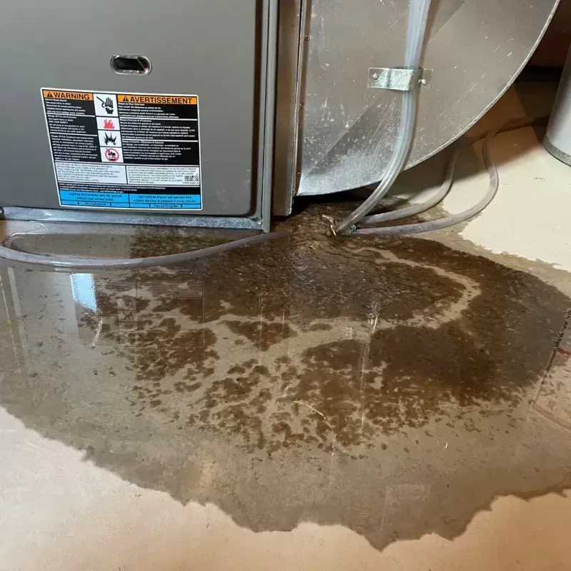 Appliance Leak Cleanup in Navarro County, TX